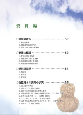 信用金庫経営報告書：自己資本充実と事業概況