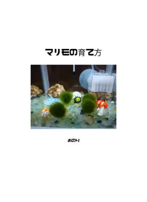 養殖マリモ飼育ガイド